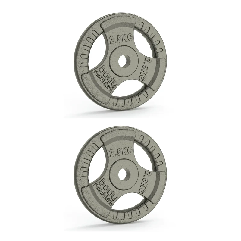 2 x 2,5-kg-Gusseisenscheiben – Standard-Dreifachgriff 1”