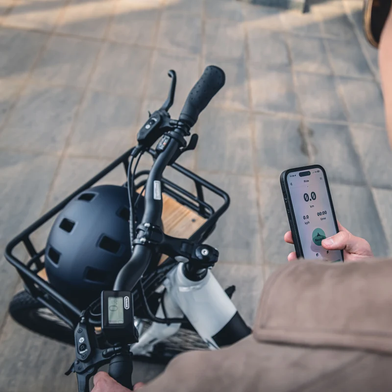 Cikada Fahrradkorb vorn