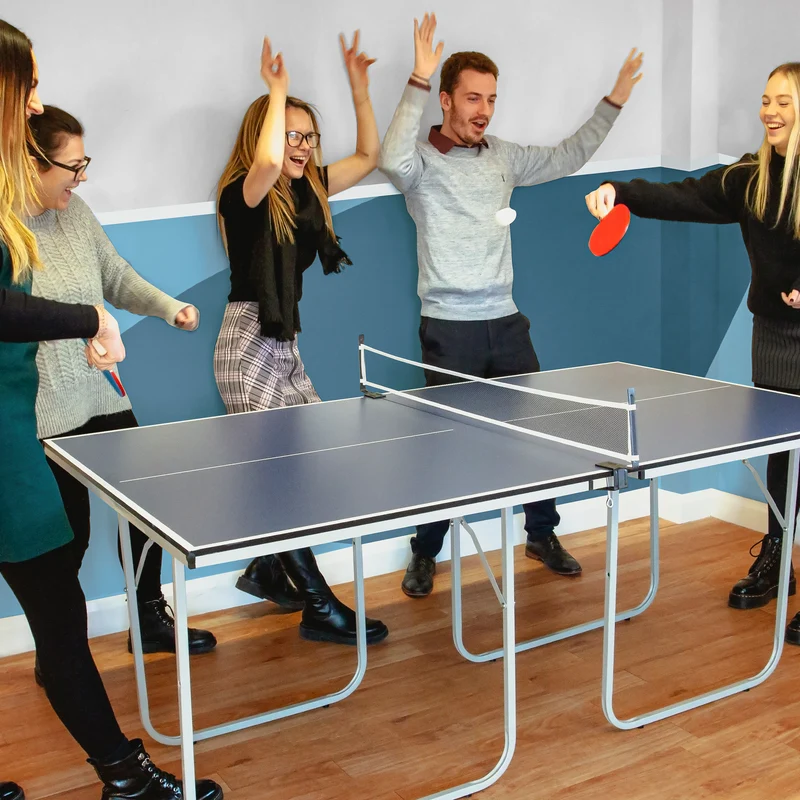 Tischtennisplatte und 2 x zusätzliche Tischtennisbälle