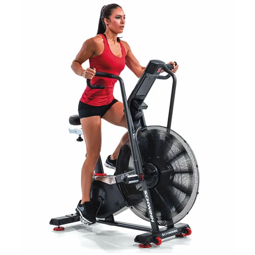 Schwinn Ergometer Airdyne AD8 Pro