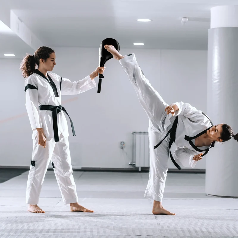 Taekwondo Pratzen 2er Set, Kickpads mit Handschlaufe und Eisenkern für Karate, Kickboxen & Muay Thai