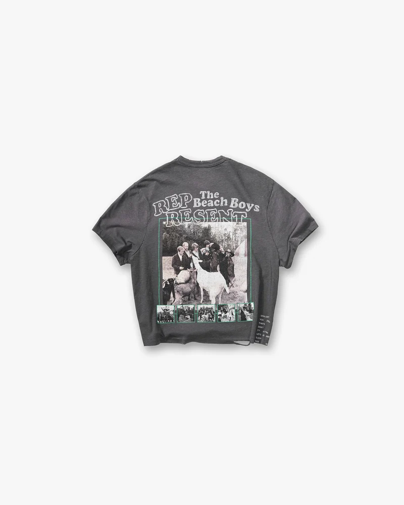 Represent x Beach Boys Pet Sounds T-Shirt - Sunfade Grey