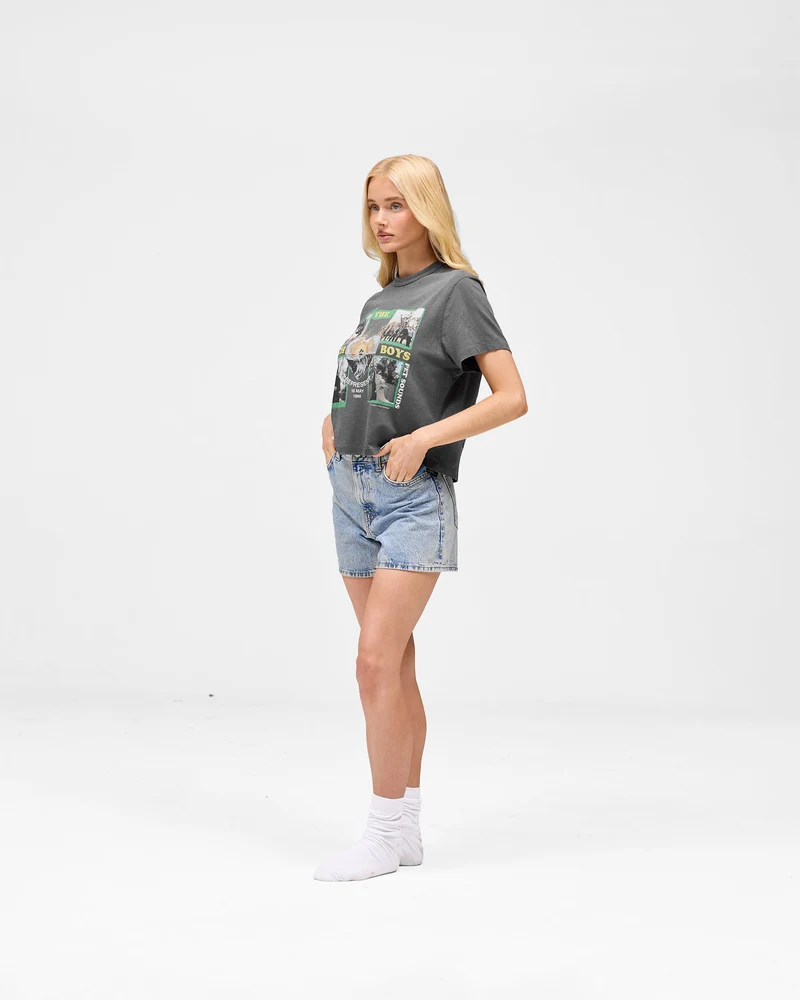 Represent x Beach Boys Pet Sounds T-Shirt - Sunfade Grey