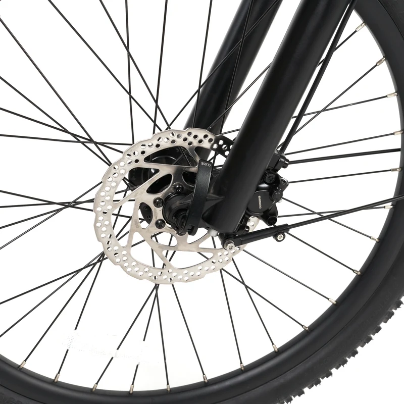 Asha 20" Kinder MTB