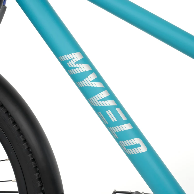Asha 24" Kinder MTB