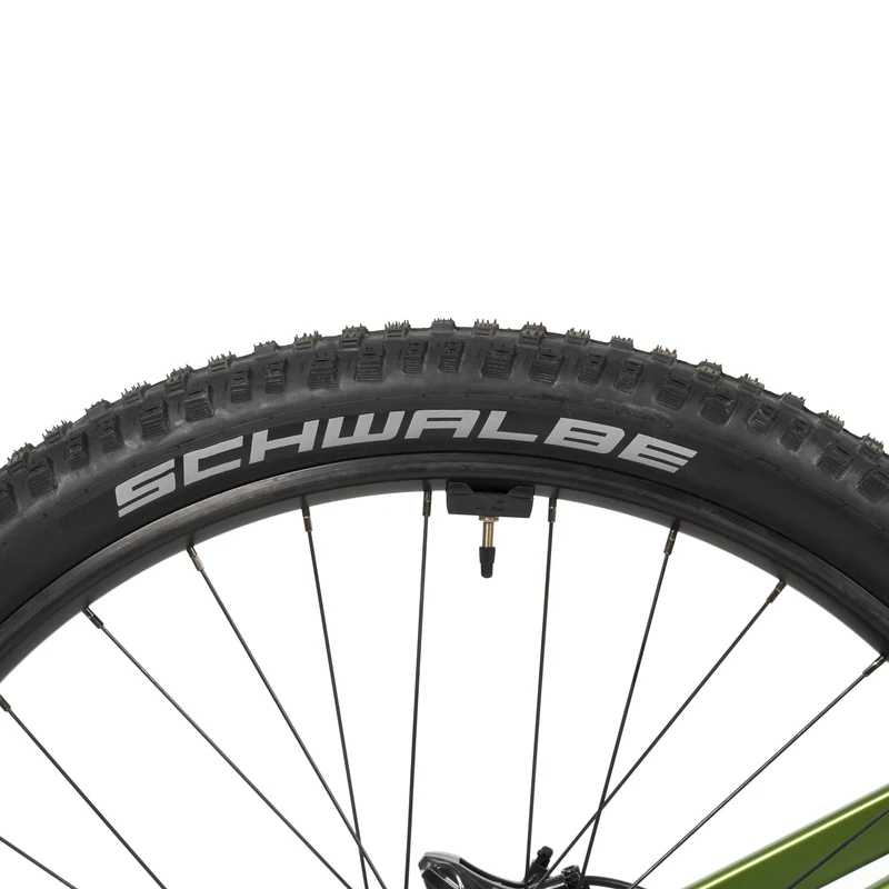 Stelvio E-MTB Fully