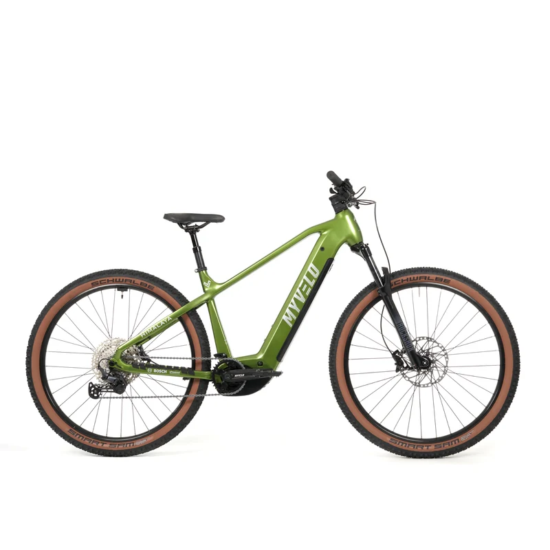 Himalaya E-MTB