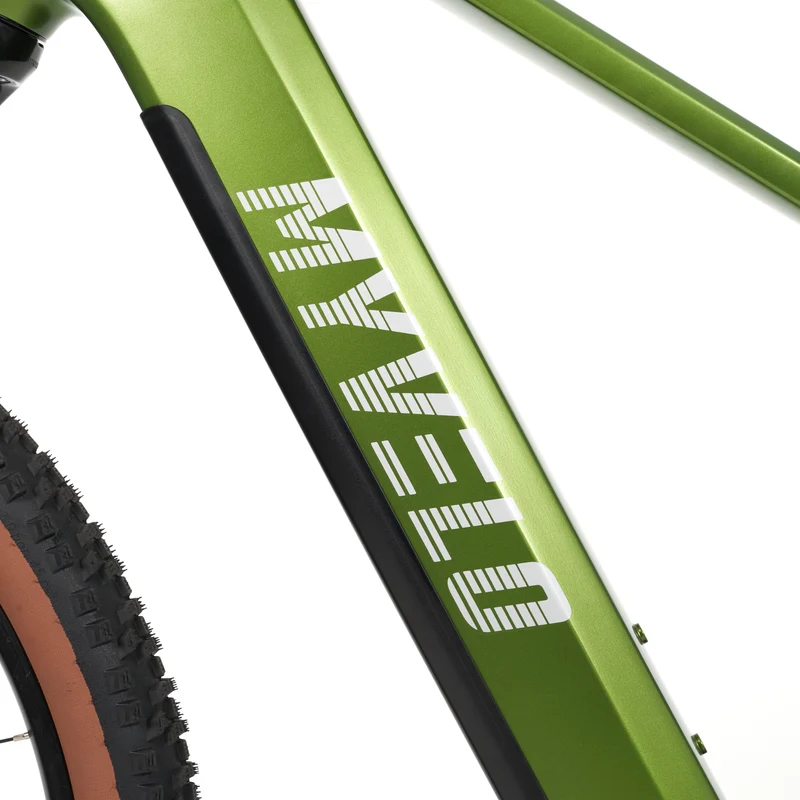 Himalaya E-MTB