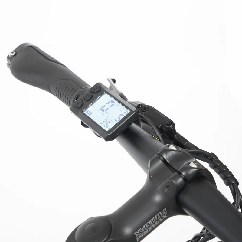 Tokio Singlespeed E-Bike