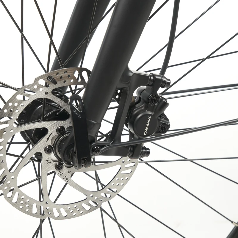 Tokio Singlespeed E-Bike