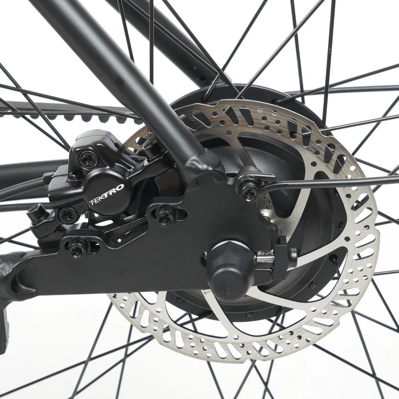 Tokio Singlespeed E-Bike
