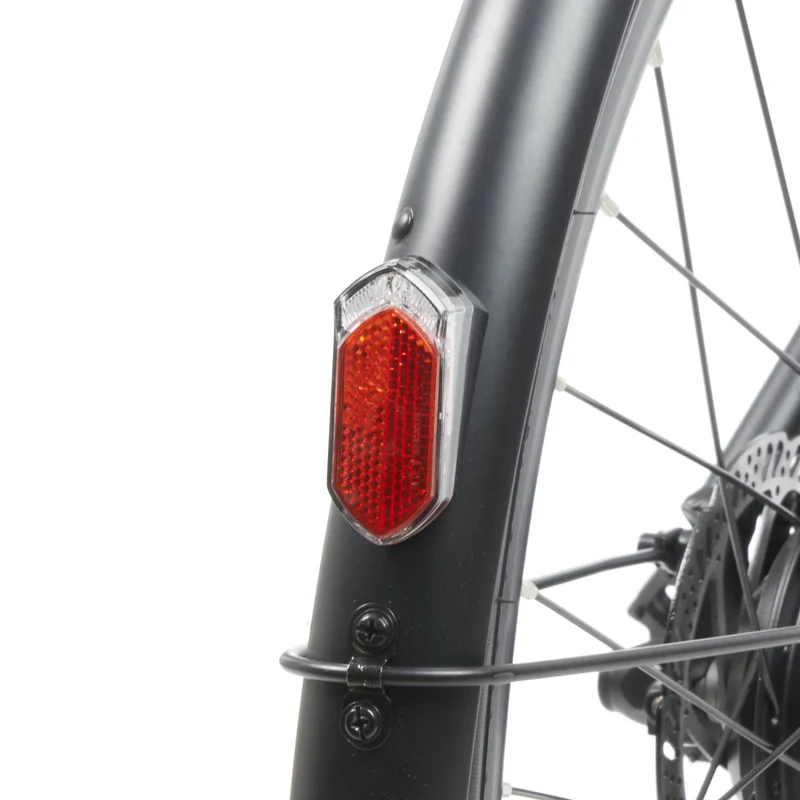 Tokio Singlespeed E-Bike